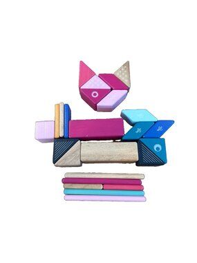 Tegu Magnetic Wooden Blocks 25 Kids Magnet Building Block Set STEM Tint Colorful
